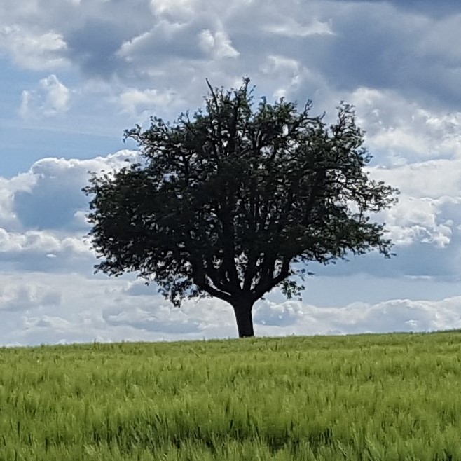 blog.oliverdiener.de